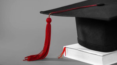 Solunda boş kopya alanı olan izole edilmiş gri arkaplan üzerine havan topu. Stok fotoğrafı