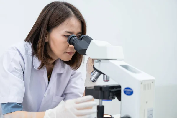 A young scientist woman in a laboratory coat looking through a microscope in a laboratory to do research and experiment. Scientist working in a laboratory. Education stock photo