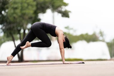 Spor kıyafetli orta yaşlı, kendinden emin bir Asyalı kadın sabahları arka bahçede yoga minderinde yoga egzersizi yapıyor. Genç bir kadın doğa parkında yoga egzersizi yapıyor.
