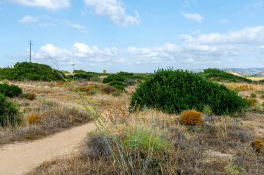 Kuru çimlerle, yeşil çalılarla ve sıcak güneş ışığıyla Steppe manzarası 