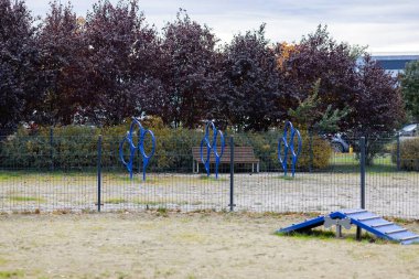 Güvenli bir şehir parkında yüksek metal tel çitleri ve profesyonel çeviklik ekipmanları olan güvenli bir köpek yarışı. Hayvan eğitimi ve şehirde tasmasız dolaşma egzersizleri için kontrollü ortam