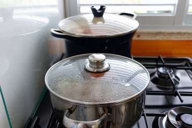 Sıcak bir ev mutfağındaki gaz sobasında iki tencere kaynıyor. Ön paslanmaz çelik tava cam bir kapağın altında buharla kaplı. Büyük siyah bir saksı yavaşça parlak bir pencerenin yanında pişiyor..