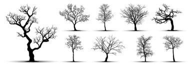 Beyaz arka planda ağaç siluetleri. Vektör illüstrasyonu.