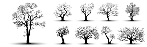 Siluety Stromů Bílém Pozadí Vektorová Ilustrace — Stockový vektor