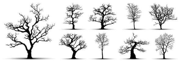 Sylwetki Drzew Białym Tle Ilustracja Wektora — Wektor stockowy