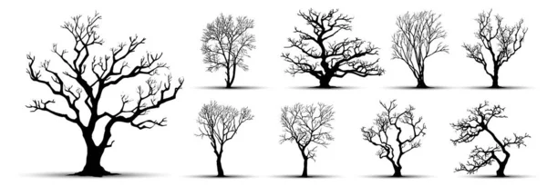 Sylwetki Drzew Białym Tle Ilustracja Wektora — Wektor stockowy