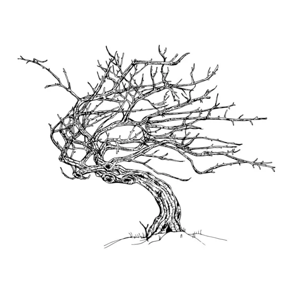 Χειροποίητο Δέντρο Που Απομονώνεται Λευκό Φόντο Σκίτσο Διανυσματική Απεικόνιση — Διανυσματικό Αρχείο