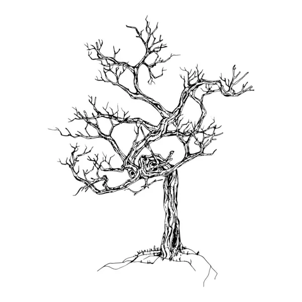 Ručně Kreslený Strom Izolovaný Bílém Pozadí Skica Vektorová Ilustrace — Stockový vektor