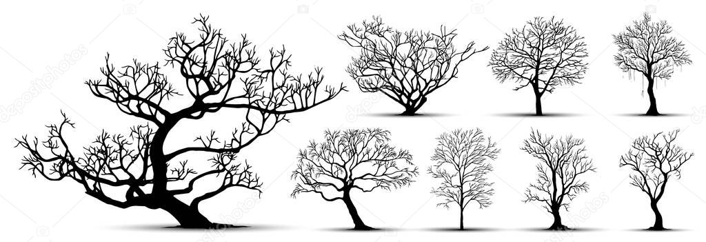 tree silhouettes on white background. Vector illustration.