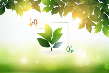 Bulanık arka planda taze yeşil yapraklar. Doğal duvar kağıdı..