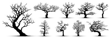 Beyaz arka planda ağaç siluetleri. Vektör illüstrasyonu.