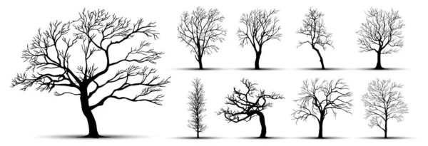 Σιλουέτες Δέντρων Λευκό Φόντο Εικονογράφηση Διανύσματος — Διανυσματικό Αρχείο