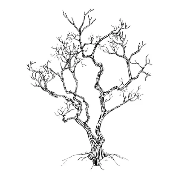 Tree Sketch: Conjunto de árvores de arquitetos desenhadas à mão