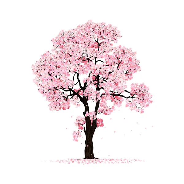 Schöner Kirschblütenbaum Isoliert Auf Weißem Hintergrund lizenzfreie Stockvektoren