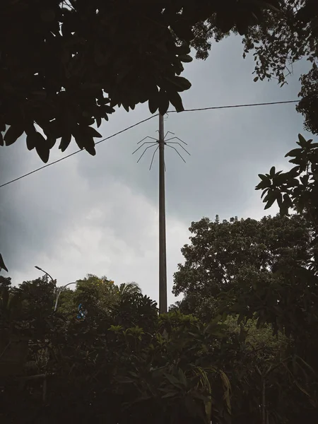 Tropikal bitki örtüsünde bulutlu gökyüzüne karşı radyal metal anten ile haberleşme direği