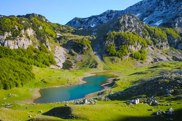 Festői folyók és tavak, Montenegróban — Stock Fotó