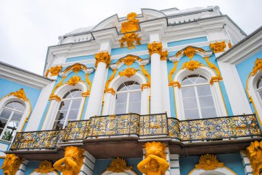 Tsarskoye Selo Sarayı