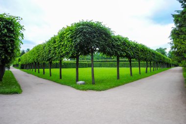 Tsarskoye Selo sokak
