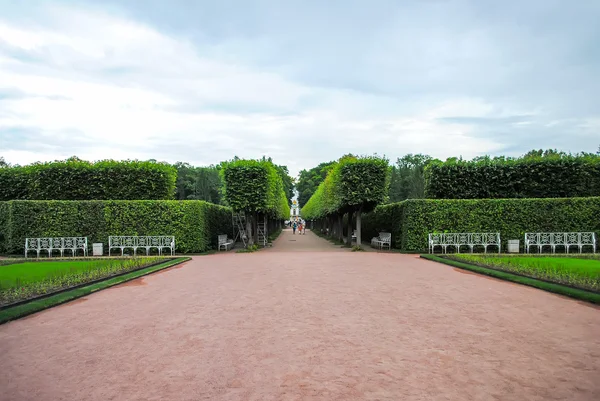 Parque Tsarskoye Selo San Petersburgo — Foto de Stock