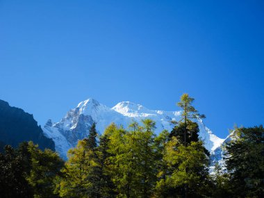 Yading Nature Reserve, Sichuan, Çin 'deki dağ zirvelerini kar kapladı. Kar dağı manzarası.