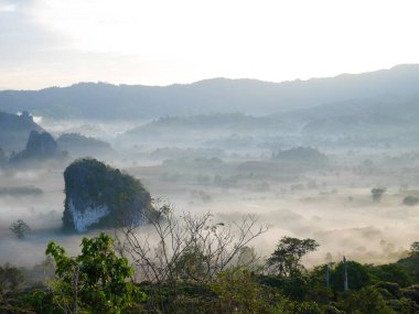 Sabahleyin Phayao, Tayland 'da Phu Langka sisle kaplıydı.