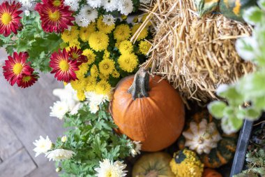 Renkli kasımpatı ile sonbahar balkabağı