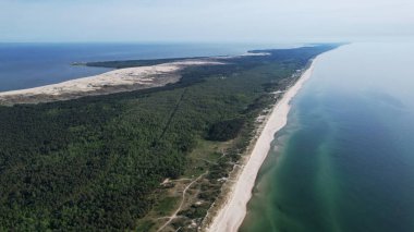Sonsuz Kıyı Ormanı Hava Görüntüsü Huzurlu Mavi Deniz Ufkunu Buluştu