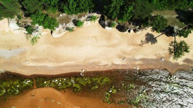 Letonya 'da Rocky Shoreline ve Green Forest ile Golden Sandy Plajı Hava Manzarası