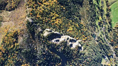 Zakopane yakınlarındaki renkli sonbahar ormanlarıyla çevrili kayalık Nosal sırtının yukarıdan aşağıya bakan insansız hava aracı görüntüsü Güney Polonya 'nın Tatra bölgesinde dramatik bir dağ arazisi sergiliyor.