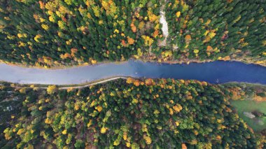 Pieniny Dağları 'ndaki sık sonbahar ormanlarını kesen Dunajec Nehri' nin tepeden aşağı insansız hava aracı perspektifi, Polonya 'nın güneyindeki renkli yeşillikleri, dolambaçlı suları ve doğal manzaraları gösteriyor.