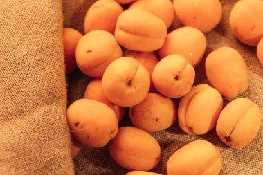 taze olgun turuncu kayısı closeup çul arka plan üzerinde