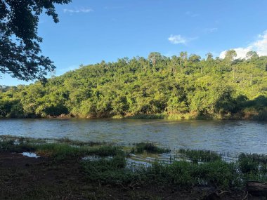 Bereketli yeşilliklerle çevrili, berrak mavi bir gökyüzü ve dağınık bulutlar doğanın sükunetini yansıtan sakin bir dere manzarası. Manzara barışı ve uyumu çağrıştırıyor, güneş ışığıyla yıkanmış..