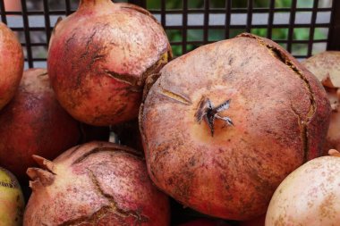 Plastik bir kutuda olgun nar. Çiftçilik ve bahçe işleri. Sicilya, İtalya 'da nar ağaçları olan bir bahçe. Sonbahar hasadı. İtalya 'da bir çiftlik. Sonbahar için arka plan. Ev yapımı organik yiyecekler.. 