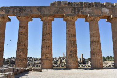 Selinunte, Trapani, Sicilya, İtalya 'daki Yunan tapınakları. Selinunte Arkeoloji Parkı 'nda Yunan sütunlarının kalıntıları olan Hera Tapınağı. İtalya 'ya git. Sicilya 'yı gezmek. 