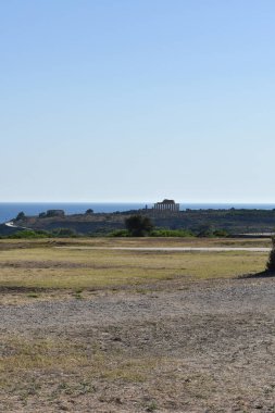 Selinunte, Trapani, Sicilya, İtalya 'daki Yunan tapınakları. Apollo Tapınağı (Tapınak C) Selinunte Arkeoloji Parkı 'ndaki Yunan sütunlarının kalıntıları, uzak görüş. İtalya 'ya git. Sicilya 'yı gezmek. 