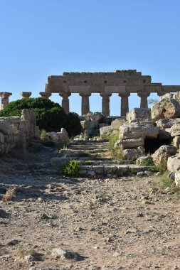 Selinunte, Trapani, Sicilya, İtalya 'daki Yunan tapınakları. Apollo Tapınağı (Tapınak C) Selinunte Arkeoloji Parkı 'ndaki Yunan sütunlarının kalıntıları. İtalya 'ya git. Gezmeye. 