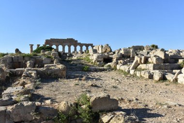 Selinunte, Trapani, Sicilya, İtalya 'daki Yunan tapınakları. Apollo Tapınağı (Tapınak C) Selinunte Arkeoloji Parkı 'ndaki Yunan sütunlarının kalıntıları. İtalya 'ya git. Gezmeye. 