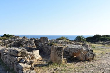 Selinunte Arkeoloji Parkı 'ndaki Yunan sütunlarının kalıntıları. Selinunte, Trapani, Sicilya, İtalya. İtalya 'ya git. Sicilya 'yı gezmek. Yaz ve Tatiller. Sicilya Denizi.