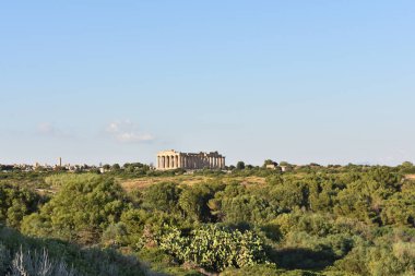 Selinunte, Trapani, Sicilya, İtalya 'daki Yunan tapınakları. Selinunte Arkeoloji Parkı 'ndaki harabeleri olan Hera Tapınağı, uzak görüş. İtalya 'ya git. Sicilya 'yı gezmek. Yaz. 