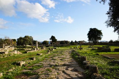 Eski harabeler. Eski bir kasaba. Yoldan. Paestum, Arkeolojik UNESCO Dünya Mirası Bölgesi, Salerno ili, Campania, İtalya. Arka planda Neptün Tapınağı.