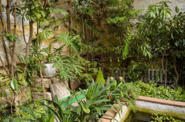 Çeşitli tropikal bitki örtüsü ve taş duvar zeminli kapalı bir bahçe havzası. Kentsel orman estetiği, egzotik bitki yetiştirme ve sera atmosferi kavramı