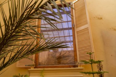 Güneş ışığıyla aydınlatılmış sarı taş duvarda Phoenix palmiye yapraklarını yansıtan oval klasik ayna. Akdeniz iç tasarımı, estetik kıyı evi dekorasyonu ve tropikal tatil atmosferi kavramı