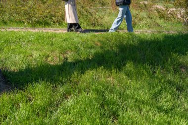 İnsanların bacakları park yolunda ön planda canlı yeşil çimlerle yürüyor. Aktif şehir yaşam tarzı, bahar mevsimsel eğlence ve sakin bir öğleden sonra gezisi kavramı.