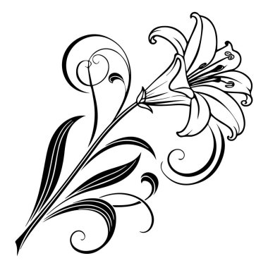 yeni çiçek vektör simgesi taslağı, arkaplan yok