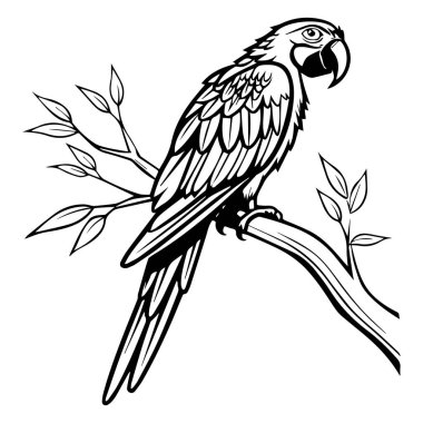 Papağan vektör simgesi çizgisi, arkaplan yok