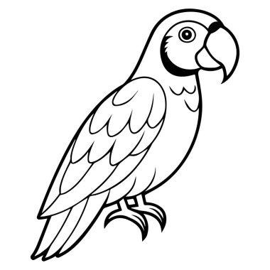 Papağan vektör simgesi çizgisi, arkaplan yok