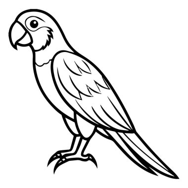 Papağan vektör simgesi çizgisi, arkaplan yok