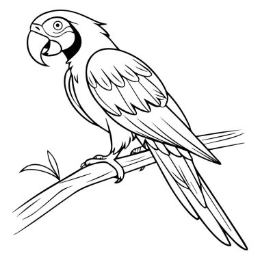 Papağan vektör simgesi çizgisi, arkaplan yok