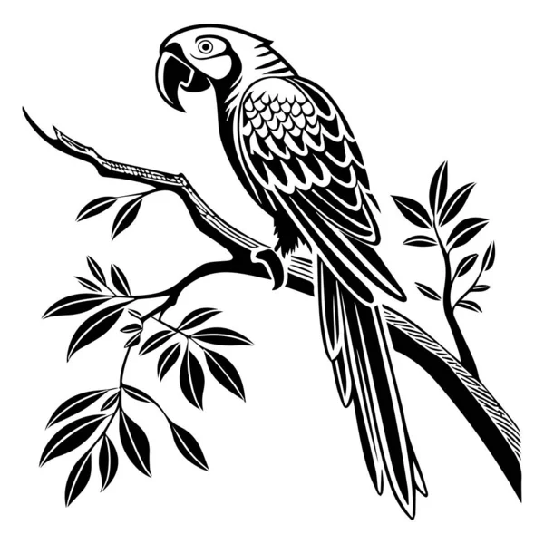 Papağan vektör simgesi çizgisi, arkaplan yok