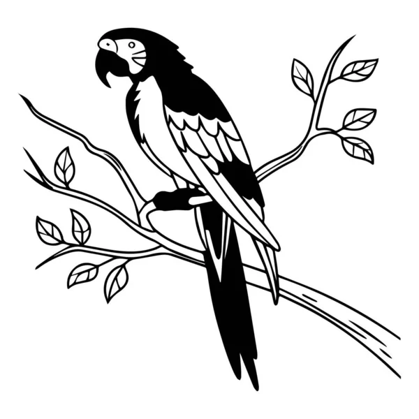 Papağan vektör simgesi çizgisi, arkaplan yok